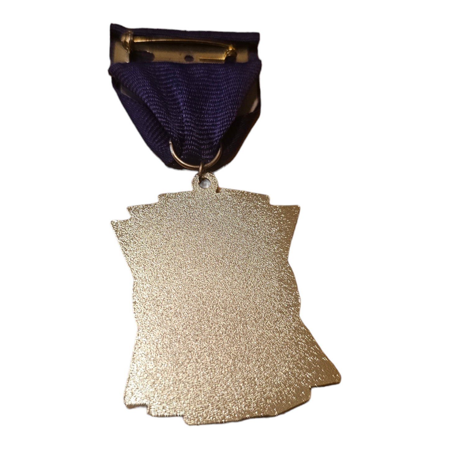 2017 The Center "Viva Fiesta Coin" Fiesta Medal