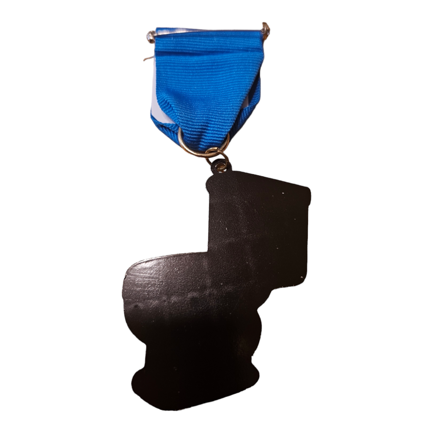 0 SAWS "Glitter Toilet" Fiesta Medal