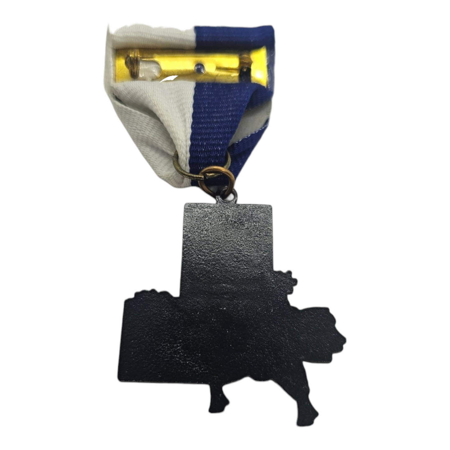 2013 Goodwill "Donate" Fiesta Medal
