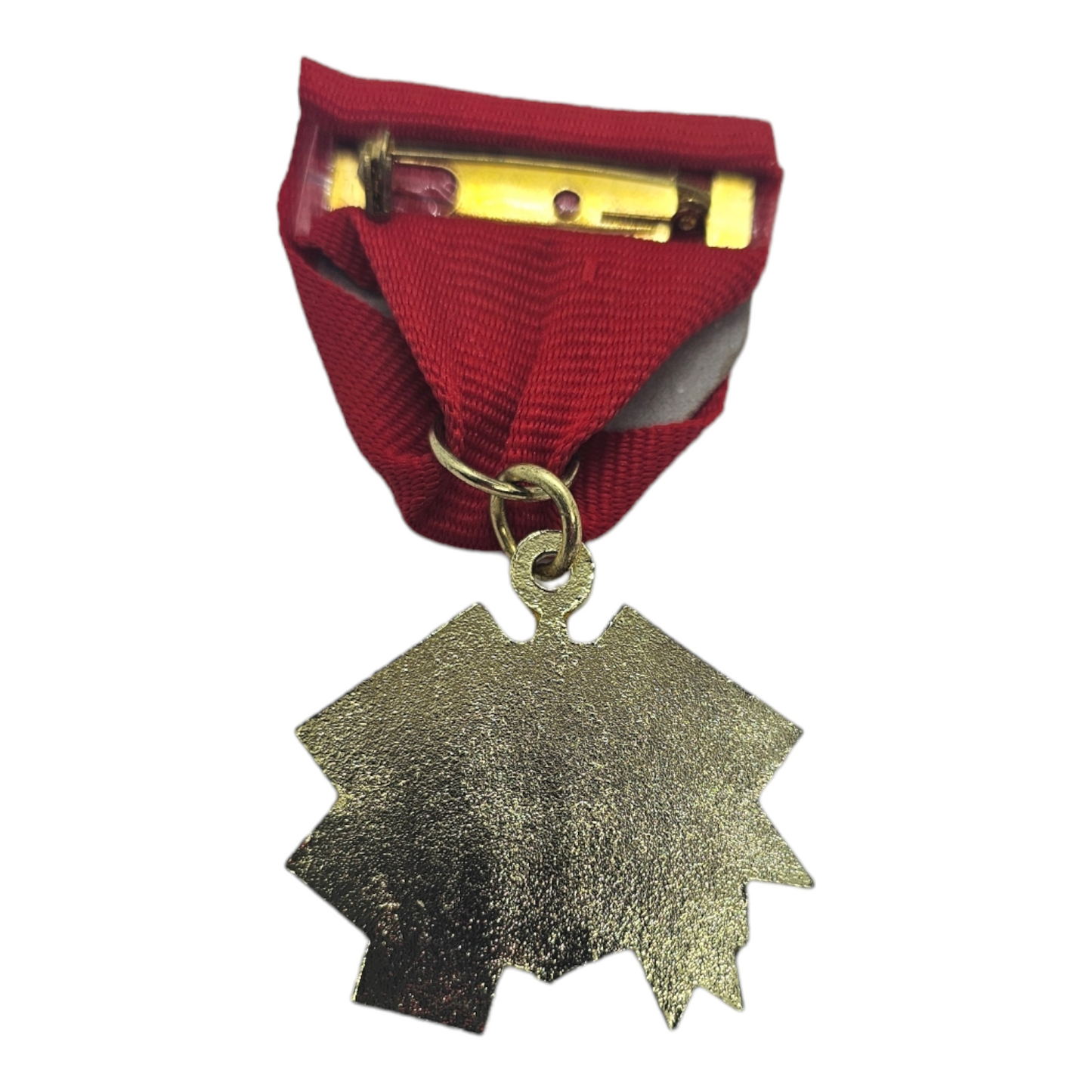 2013 Indian Head Flags Alamo Fiesta Medal