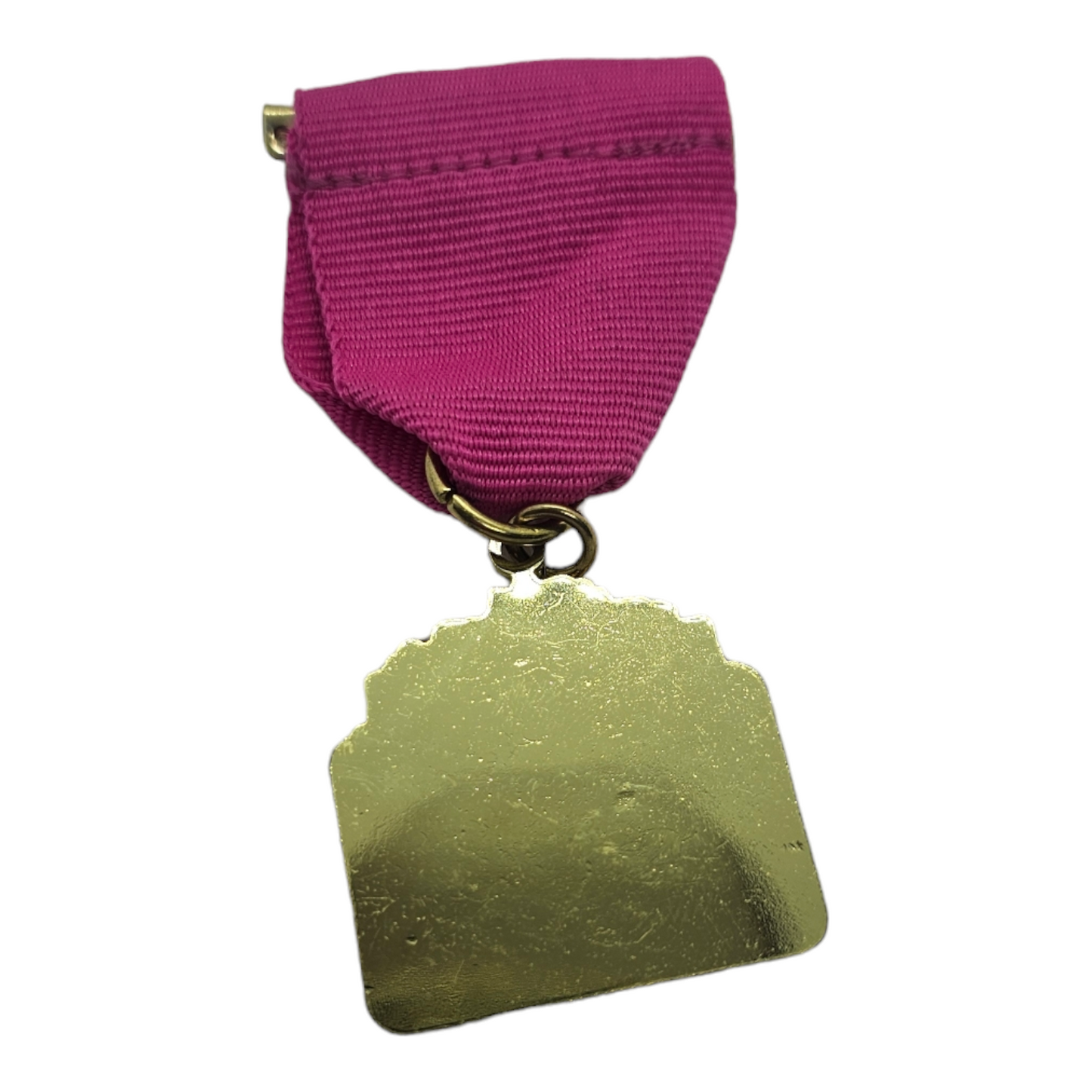 2013 Pinatas in the Barrio "A.U.E.D.A" Fiesta Medal