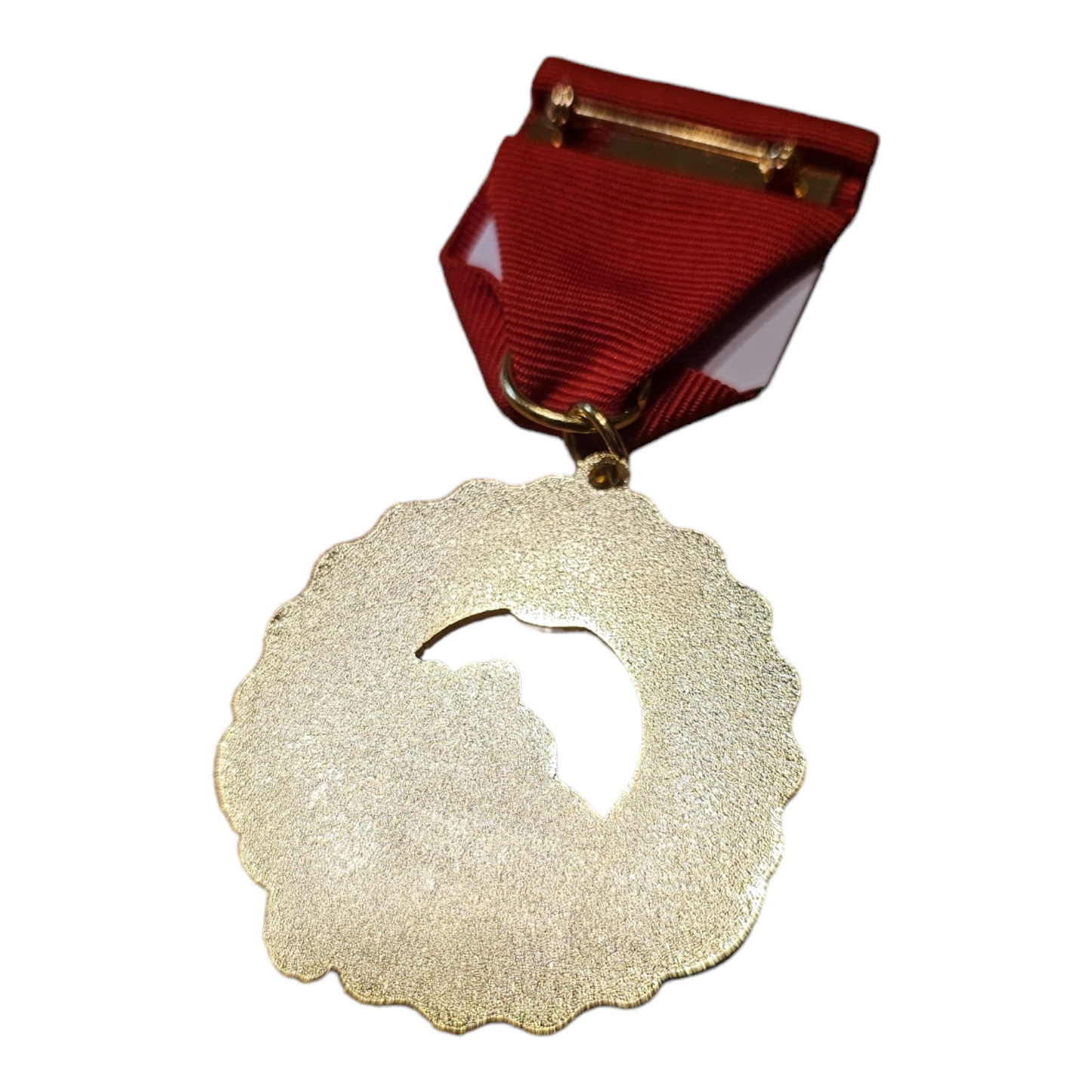 0 Spectrum News 1 "Lizard" Fiesta Medal