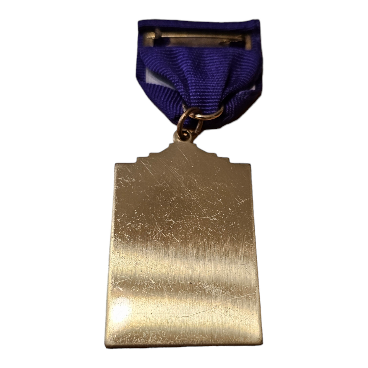 2014 District Clerks Office "Records & Finance" Fiesta Medal