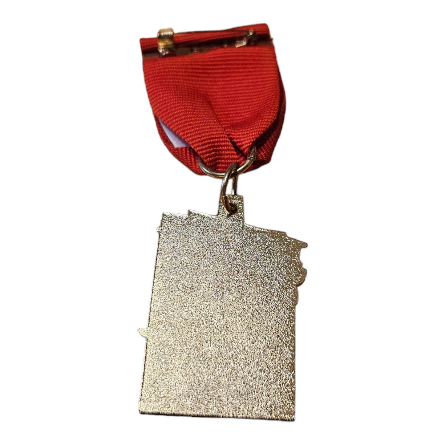 2014 Fiesta Especial "Chili" Fiesta Medal