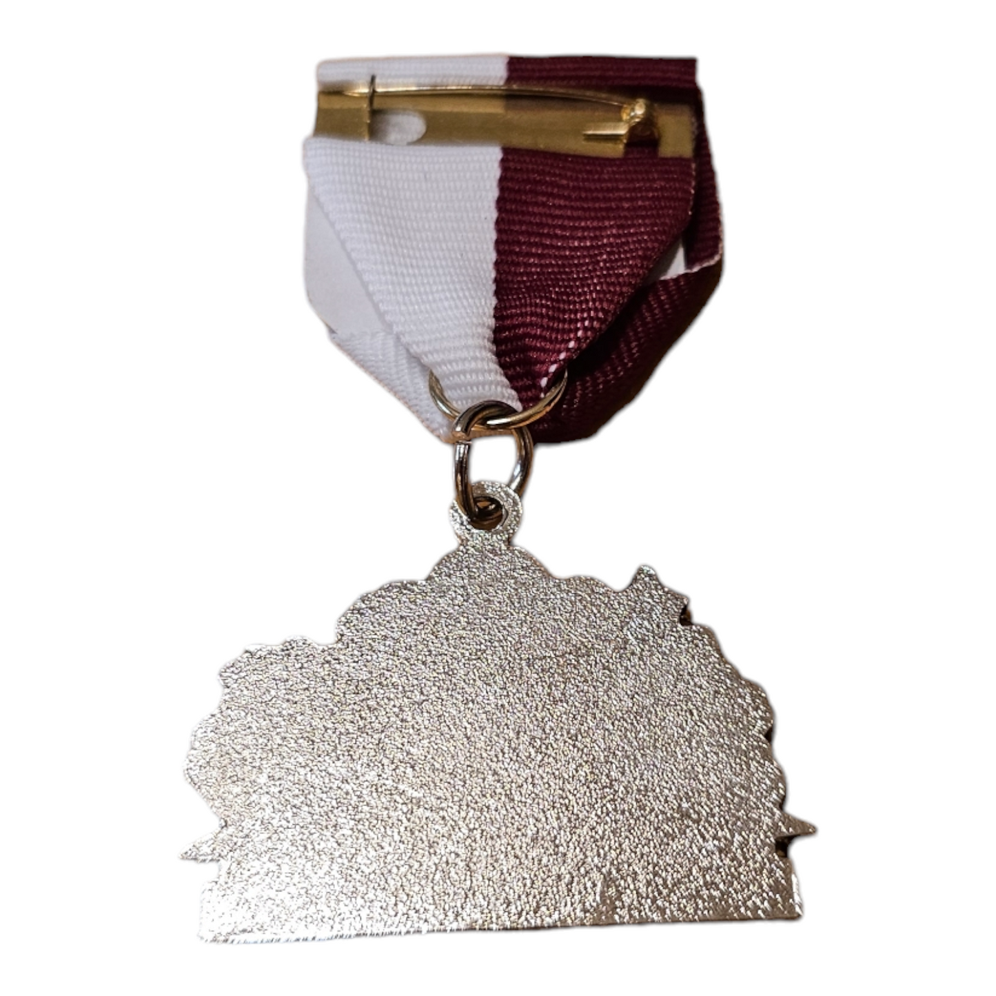 2014 Trinity University "Fountain" Fiesta Medal