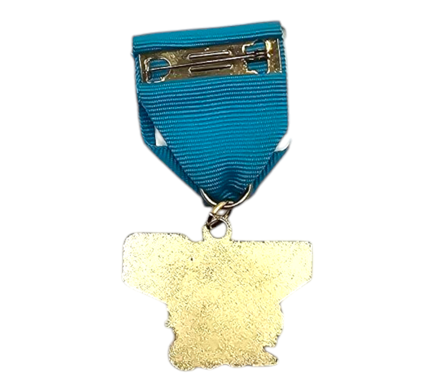 2009 Fox 29 My35 Fiesta City Fiesta Medal