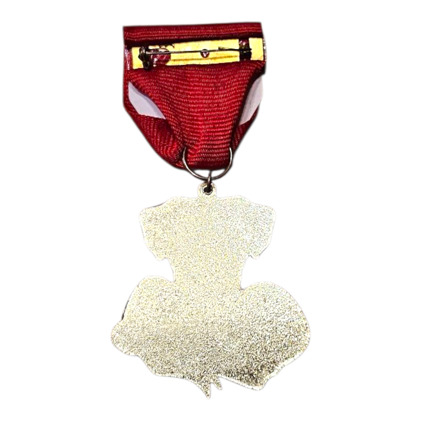 2018 SA 300 Boxer Viva Fiesta Medal